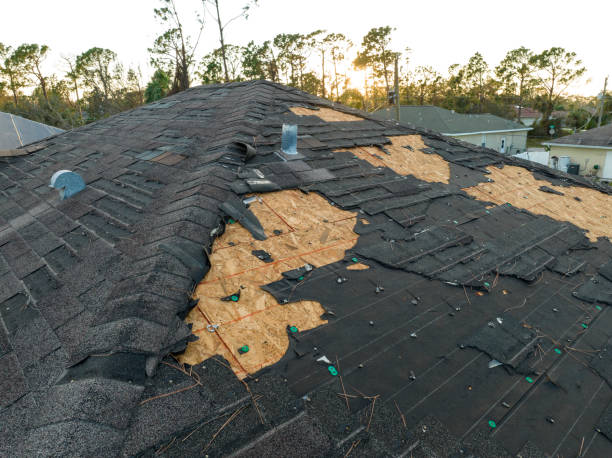 Best Roof Leak Repair  in Harrison, WI